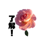 yasuおばさんの薔薇言葉3（個別スタンプ：24）