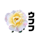 yasuおばさんの薔薇言葉3（個別スタンプ：32）
