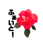 yasuおばさんの薔薇言葉3（個別スタンプ：36）