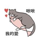 グレーと白猫（個別スタンプ：10）