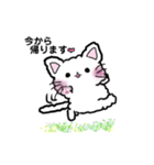 ふわもこにゃんこの日常会話（個別スタンプ：5）