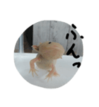 うーさん家の日常2（個別スタンプ：4）