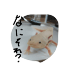 うーさん家の日常2（個別スタンプ：5）