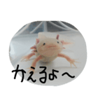 うーさん家の日常2（個別スタンプ：6）