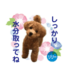 リリーちゃん Vol.2（個別スタンプ：3）
