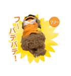 リリーちゃん Vol.2（個別スタンプ：4）