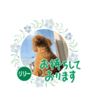 リリーちゃん Vol.1（個別スタンプ：1）