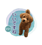 リリーちゃん Vol.1（個別スタンプ：4）