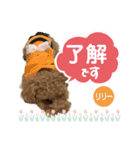 リリーちゃん Vol.1（個別スタンプ：5）