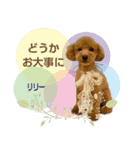 リリーちゃん Vol.1（個別スタンプ：8）