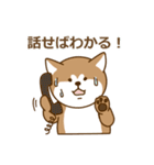 秋田犬のスタンプ②（個別スタンプ：10）