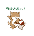秋田犬のスタンプ②（個別スタンプ：23）