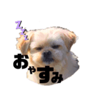 ヴァーデルすたんぷ（個別スタンプ：2）