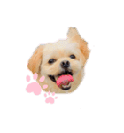 ヴァーデルすたんぷ（個別スタンプ：7）