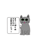 猫でことわざ（個別スタンプ：1）