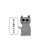 猫でことわざ（個別スタンプ：4）