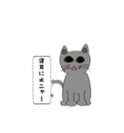 猫でことわざ（個別スタンプ：8）