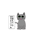 猫でことわざ（個別スタンプ：14）