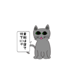 猫でことわざ（個別スタンプ：17）