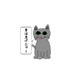 猫でことわざ（個別スタンプ：38）