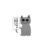 猫でことわざ（個別スタンプ：39）