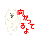 山中湖畔【岩魚茶舎】看板犬猫すたんぷ1（個別スタンプ：30）