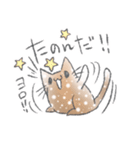 ウメのゆるねこスタンプ第2弾（個別スタンプ：37）
