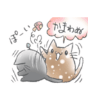 ウメのゆるねこスタンプ第2弾（個別スタンプ：40）