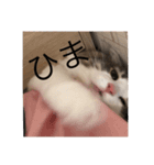 ぴのスタンプ♡（個別スタンプ：2）