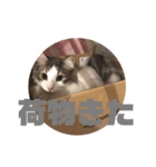 ぴのスタンプ♡（個別スタンプ：6）