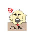 ごーるでんわんこ1 ゴールデンレトリバー1（個別スタンプ：5）