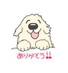 ごーるでんわんこ1 ゴールデンレトリバー1（個別スタンプ：7）