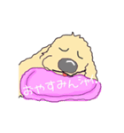 ごーるでんわんこ1 ゴールデンレトリバー1（個別スタンプ：8）