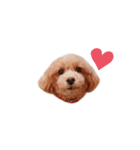 moco's Face（個別スタンプ：1）