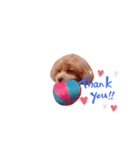 moco's Face（個別スタンプ：5）