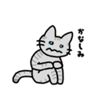 ねこひよこくま 日常スタンプ（個別スタンプ：2）