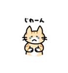 ねこひよこくま 日常スタンプ（個別スタンプ：7）