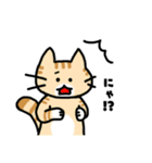 ねこひよこくま 日常スタンプ（個別スタンプ：8）