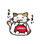 ねこひよこくま 日常スタンプ（個別スタンプ：9）
