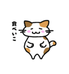ねこひよこくま 日常スタンプ（個別スタンプ：11）