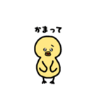 ねこひよこくま 日常スタンプ（個別スタンプ：34）