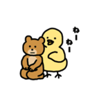 ねこひよこくま 日常スタンプ（個別スタンプ：40）