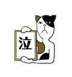 額縁にゃんこ（個別スタンプ：16）