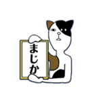 額縁にゃんこ（個別スタンプ：17）
