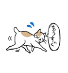 まったりごろごろ日本猫2（個別スタンプ：16）