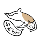 まったりごろごろ日本猫2（個別スタンプ：34）