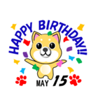 柴犬の誕生日おめでとう 5月（個別スタンプ：15）
