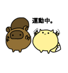 ぽっちゃりタヌキツネ（個別スタンプ：39）