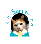 うちの可愛い猫ちゃんです 2（個別スタンプ：15）