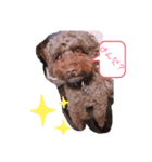 ロンすたんぷ❶（個別スタンプ：3）